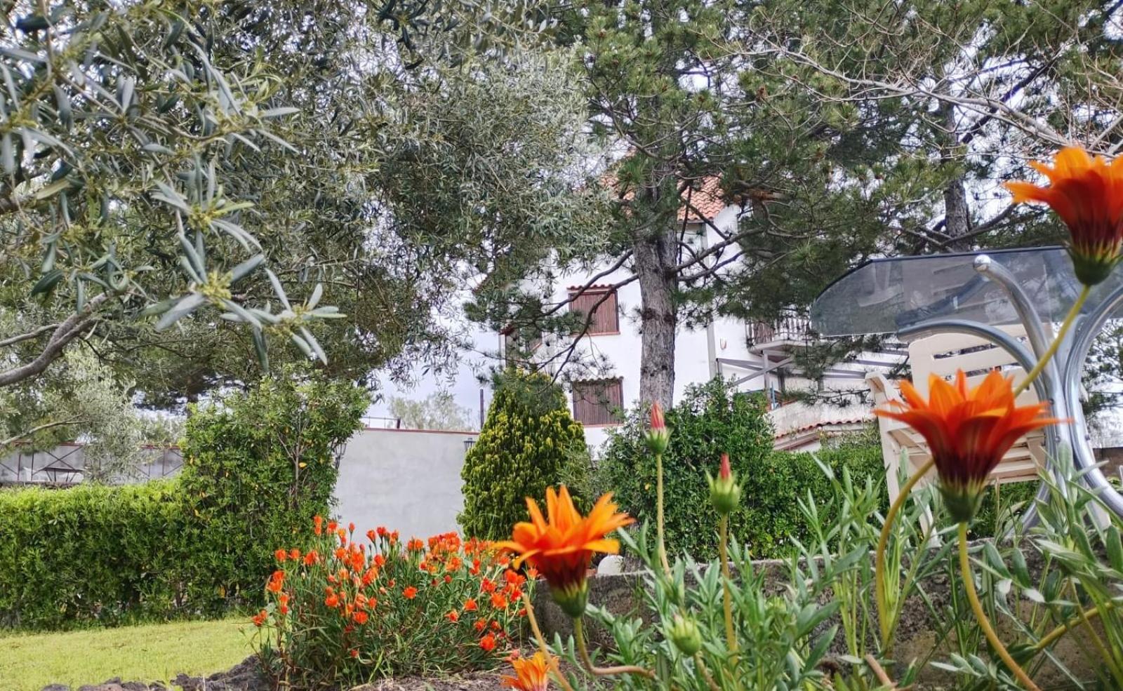 ניקולוסי Villa Joele מראה חיצוני תמונה
